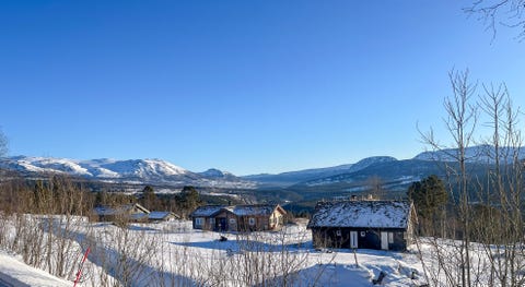 Bilde 1 av annonsen