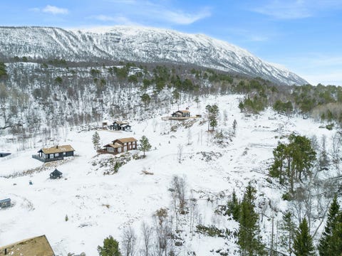 Bilde 2 av annonsen