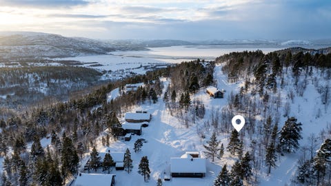 Bilde 1 av annonsen