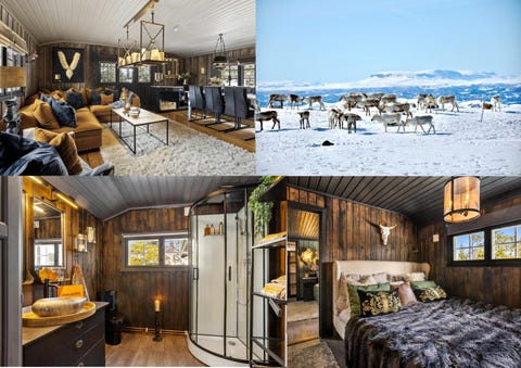 Bilde 2 av annonsen