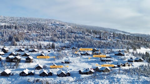 Bilde 1 av annonsen