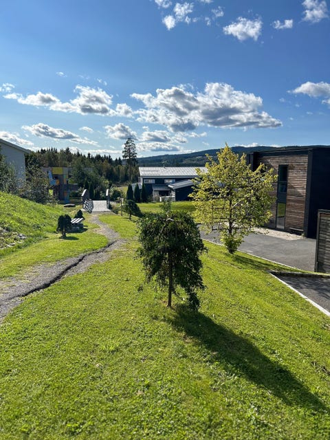 Bilde 2 av annonsen