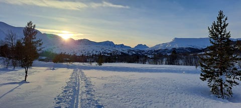Bilde 1 av annonsen
