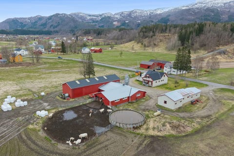 Bilde 1 av annonsen