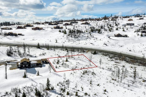Bilde 1 av annonsen