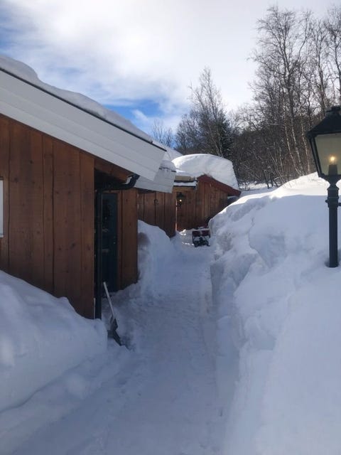 Bilde 2 av annonsen