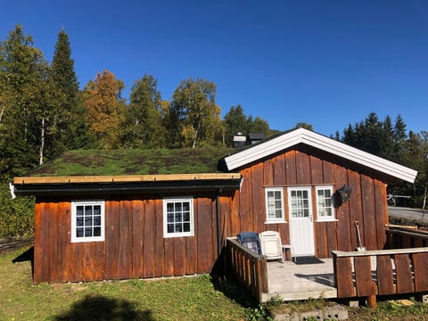 Bilde 1 av annonsen