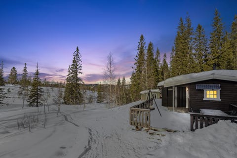Bilde 1 av annonsen