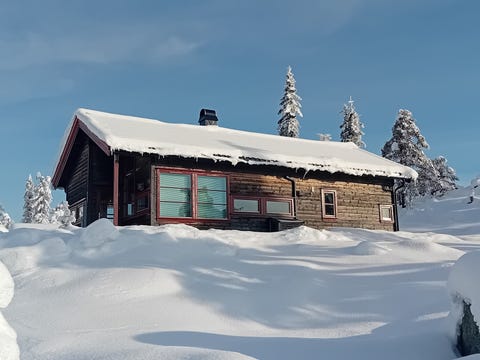Bilde 1 av annonsen
