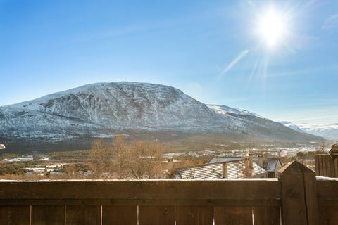 Bilde 2 av annonsen