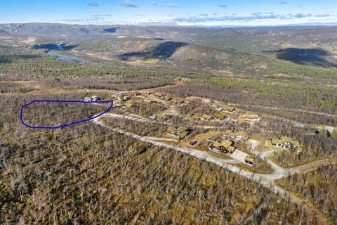 Bilde 2 av annonsen