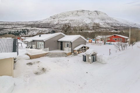 Bilde 1 av annonsen