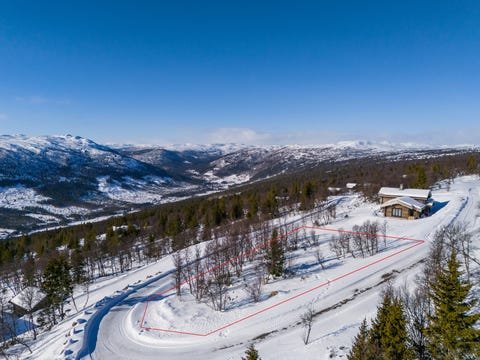 Bilde 1 av annonsen