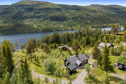 Bilde 1 av annonsen