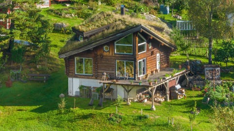 Bilde 1 av annonsen