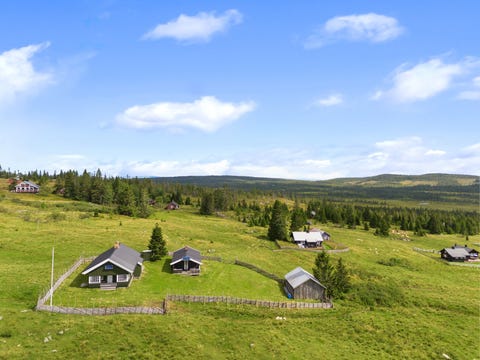 Bilde 1 av annonsen