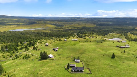 Bilde 2 av annonsen