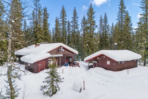 Bilde 1 av annonsen