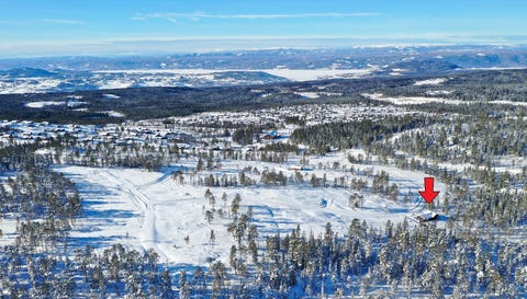 Bilde 1 av annonsen