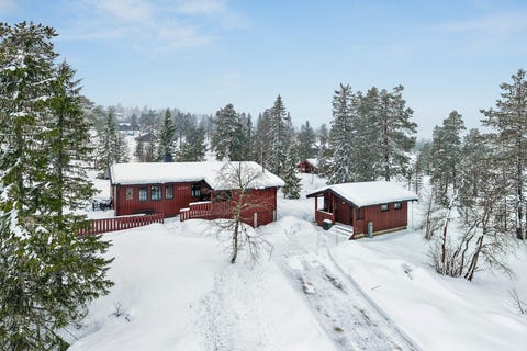 Bilde 1 av annonsen
