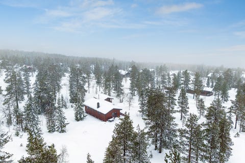 Bilde 2 av annonsen