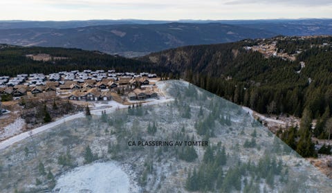 Bilde 2 av annonsen