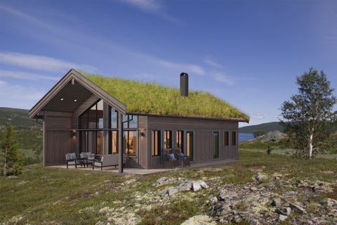 Bilde 1 av annonsen