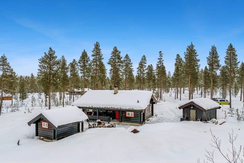 Bilde 1 av annonsen
