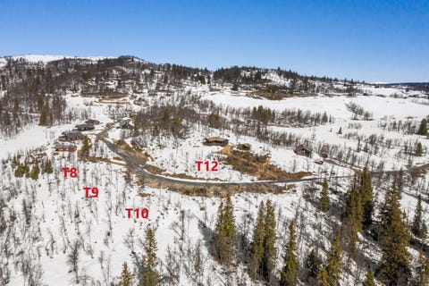 Bilde 2 av annonsen