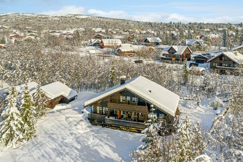 Bilde 1 av annonsen