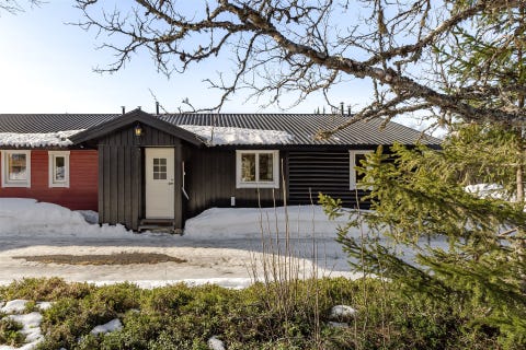 Bilde 1 av annonsen