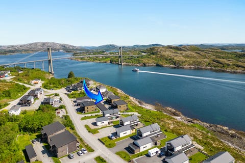 Bilde 1 av annonsen