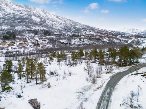 Bilde 2 av annonsen