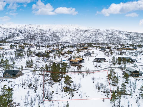 Bilde 1 av annonsen
