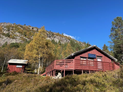 Bilde 1 av annonsen
