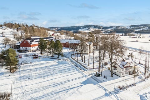 Bilde 1 av annonsen