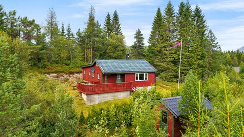 Bilde 1 av annonsen