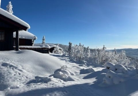 Bilde 1 av annonsen