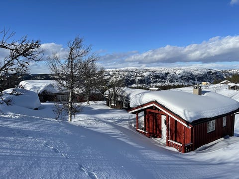 Bilde 1 av annonsen