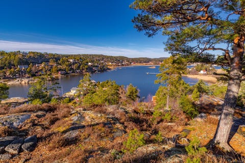 Bilde 2 av annonsen