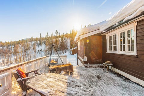 Bilde 2 av annonsen