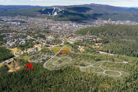 Bilde 1 av annonsen