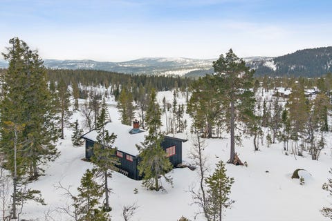 Bilde 1 av annonsen