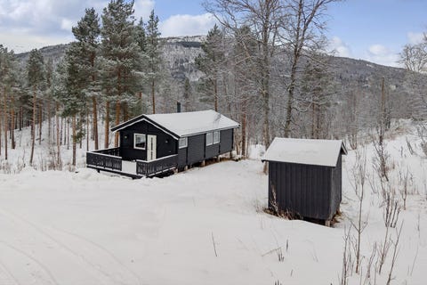 Bilde 1 av annonsen