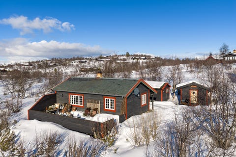 Bilde 1 av annonsen