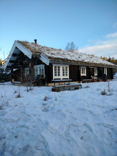 Bilde 1 av annonsen