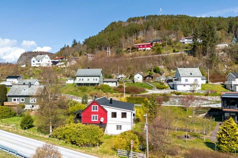 Bilde 1 av annonsen