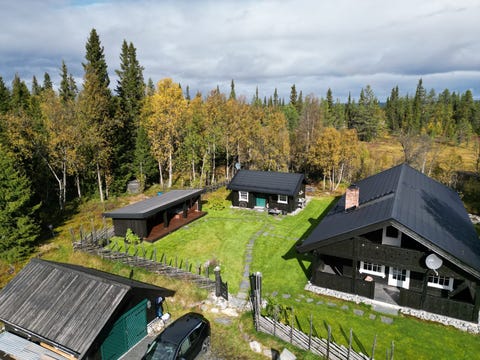 Bilde 1 av annonsen