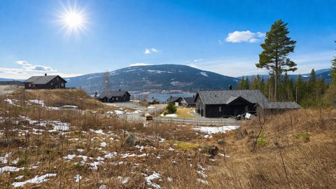 Bilde 1 av annonsen