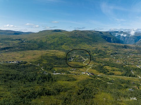 Bilde 2 av annonsen